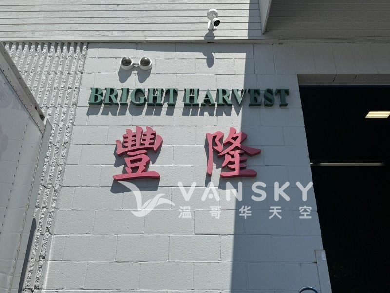 250606125642_WhatsApp Image 2025-06-06 at 12.51.00.jpeg